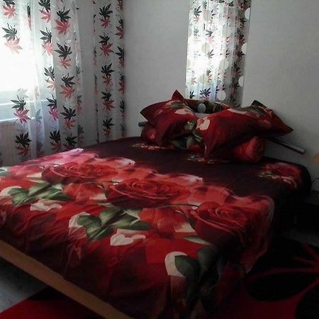 Апартаменти Apartament Ela Elegance Оршова Екстер'єр фото