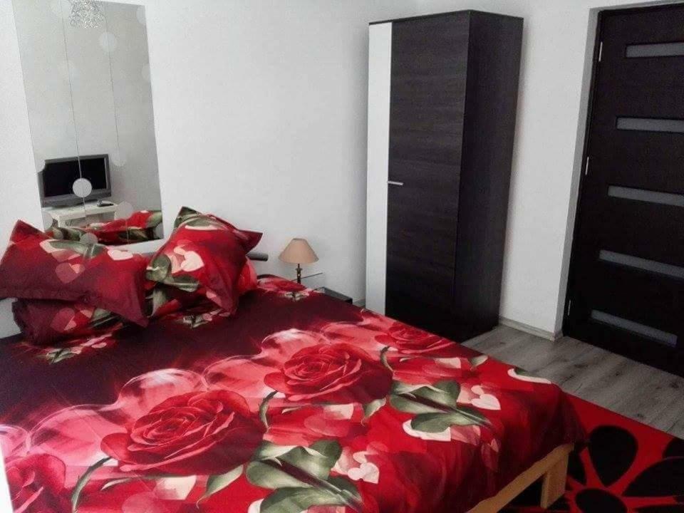 Апартаменти Apartament Ela Elegance Оршова Екстер'єр фото